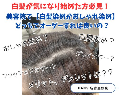 白髪が気になり始めた方必見!美容院で【白髪染めかおしゃれ染め】どっちでオーダーすれば良いの?
